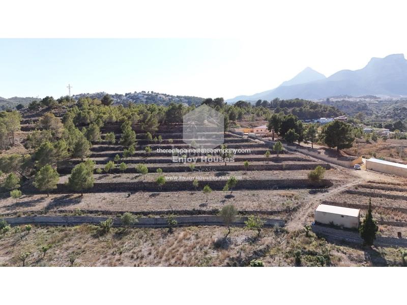 Foto 59ab5a56-d98d-409e-ae7b-ae4589bc4f20. Finca rústica oferta exclusiva en la nucía en El Tossal-Bello Horizonte Nucia (la)