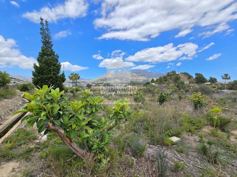 Foto 86111925-3a28-42cd-a9e7-02f1900927d9. Finca rústica oferta exclusiva en la nucía en El Tossal-Bello Horizonte Nucia (la)