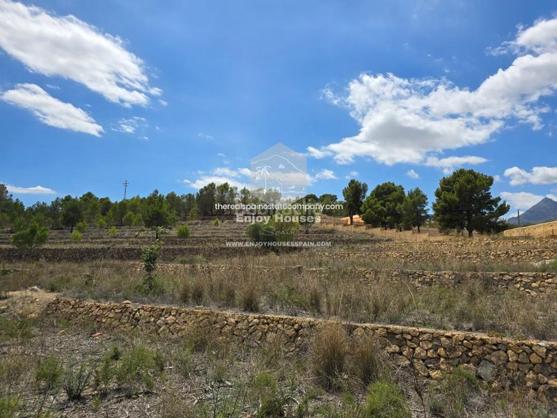 Foto 8fa4f887-b91d-412d-81a2-844491966cc4. Finca rústica oferta exclusiva en la nucía en El Tossal-Bello Horizonte Nucia (la)