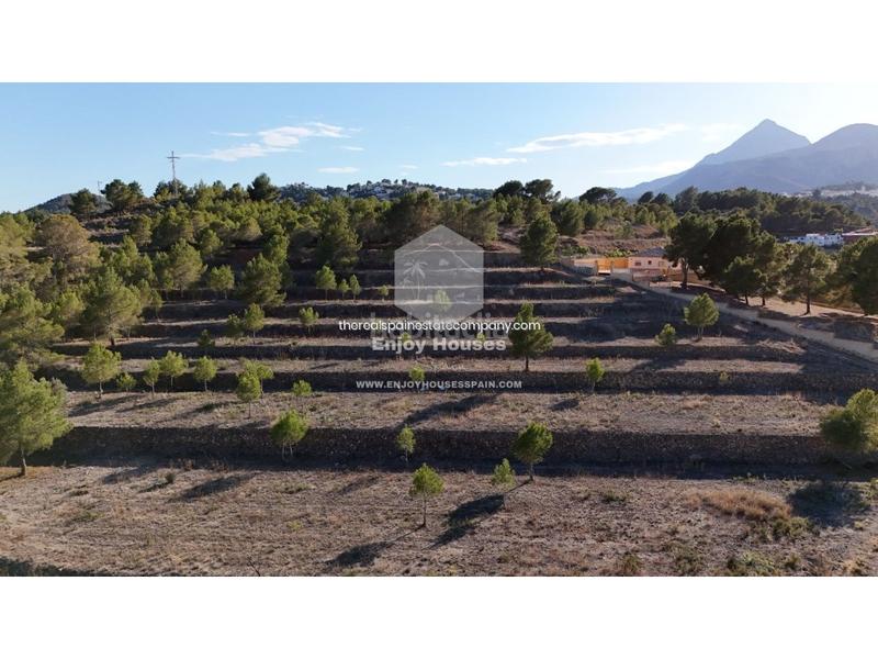 Foto 9cf0ac5a-10ca-48a2-a967-83df1ab6ec89. Finca rústica oferta exclusiva en la nucía en El Tossal-Bello Horizonte Nucia (la)