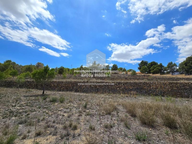 Foto bd0140d6-23a9-4410-878f-aa30eae5ca66. Finca rústica oferta exclusiva en la nucía en El Tossal-Bello Horizonte Nucia (la)