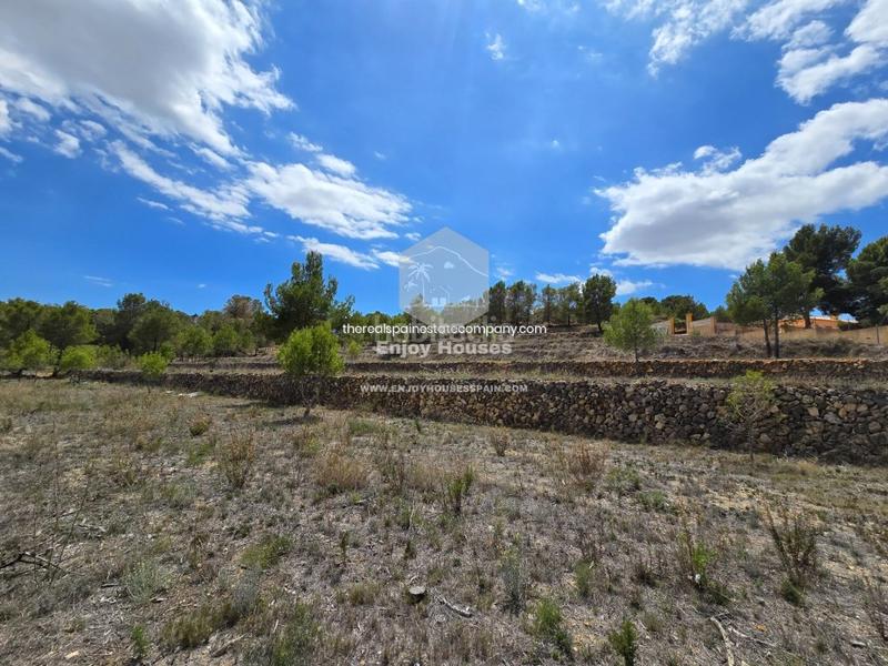 Foto e0d1f130-b13f-4d01-bad2-353e3c2e282a. Finca rústica oferta exclusiva en la nucía en El Tossal-Bello Horizonte Nucia (la)