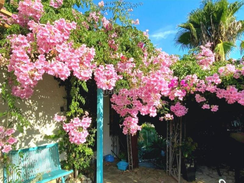 Foto 391081ea-3c3d-42bd-9f26-ead1942b021a. Casa con piscina in Cap Martí - El Tossalet - Pinomar Xàbia