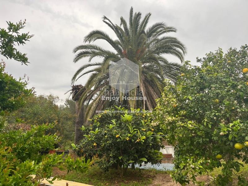 Foto 21052e17-8193-4a71-81bc-a21c1b6dc304. Maison dans Cap Martí - El Tossalet - Pinomar Xàbia