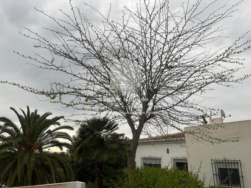 Foto 6bc024a5-05f2-433c-afe3-c72cabf91666. Maison dans Cap Martí - El Tossalet - Pinomar Xàbia