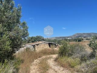 Finca rústica en Les Fonts - Els Molins. Parcela rústica de ensueño con potencial de renovación cerca de
