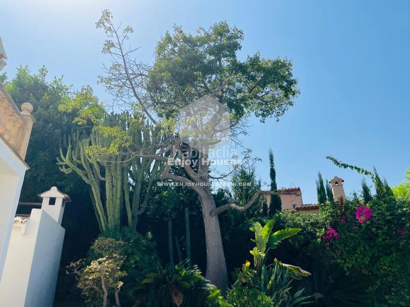 Foto 201dbf24-428d-4e52-b22b-ce6e6211a7b0. Affitto casa in La Granadella - Costa Nova Xàbia