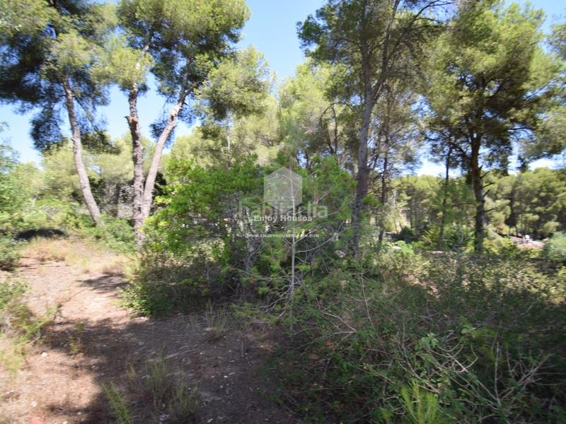 Foto 2db4f8a1-9db1-47da-8d95-12ac664c3a91. Finca rústica a Partida Comunes-Adsubia Xàbia