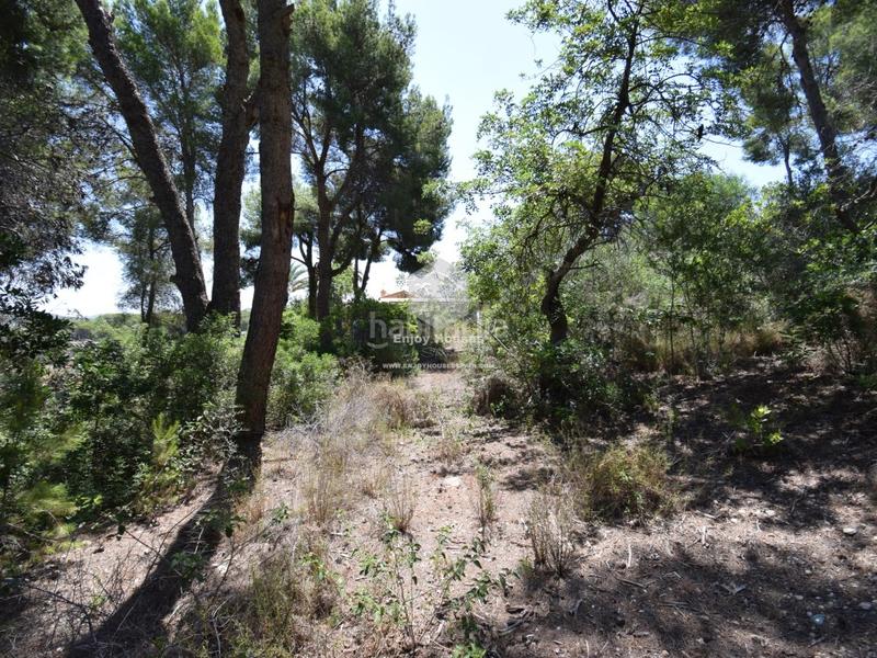 Foto 809e98a8-3060-4d63-9718-1289467ee69c. Finca rústica a Partida Comunes-Adsubia Xàbia