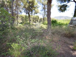 Finca rústica en Partida Comunes-Adsubia. Parcela rústica de primera calidad en venta en covatelles, jávea
