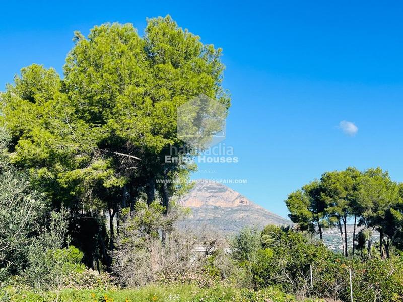 Foto b8d1e1fc-39da-421e-bd4f-83ca316652f6. Terreny residencial a Partida Comunes-Adsubia Xàbia