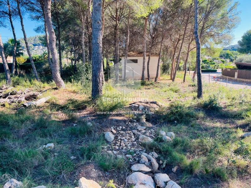 Foto ed92f881-18b1-428f-8200-ddfde2c90a34. Terreny residencial a Partida Comunes-Adsubia Xàbia