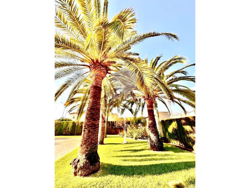 Foto 7cfad465-ed14-4885-a750-6cdf1b0668db. Reihenhaus in Poblets (els)