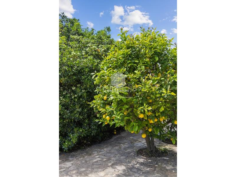 Foto 8320c28c-61fa-486f-8d9d-b42743233286. Casa amb calefacció aparcament piscina a Partida Tosal - Zona dels Castellans Xàbia