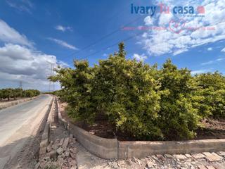 Finca rústica a Avinguda alemanya 21. Terreno en venta en wv84+29 s/n