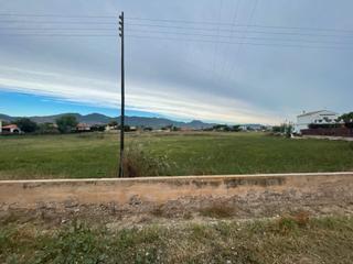 Finca rústica  Carretera del senillar. Terreno en venta en camino del senillar