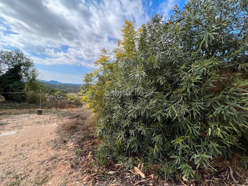 Foto 29a03c8a-05cd-4c62-9893-6225cb6fa797. Casale in partida collet 14 in Sierra Engarcerán