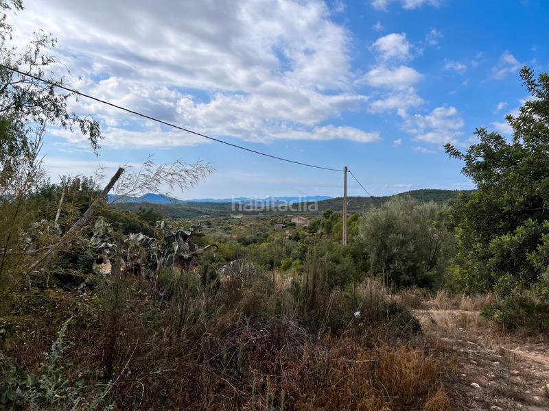 Foto 3fc7adbd-a263-4252-a6c8-bab57d8fa3ed. Casale in partida collet 14 in Sierra Engarcerán