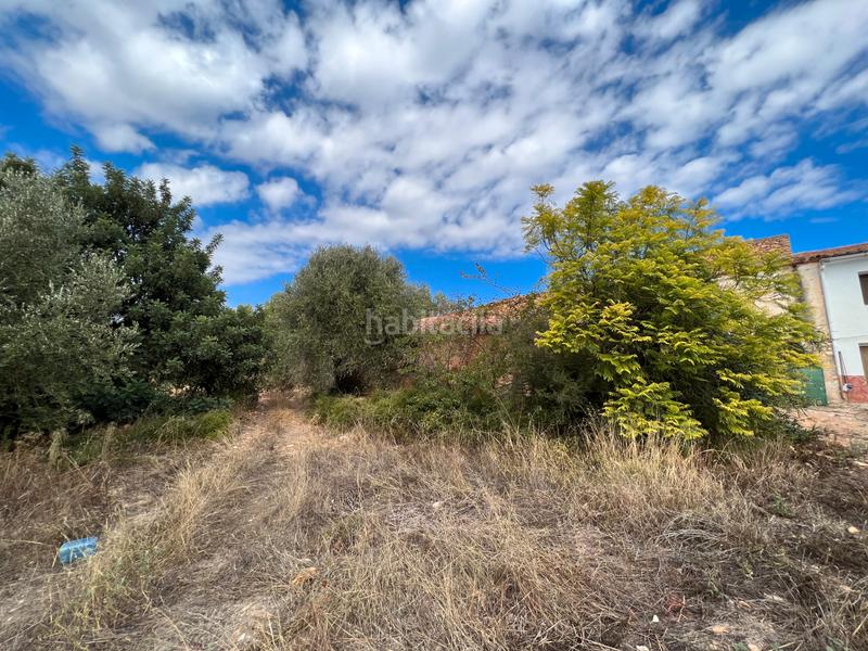 Foto b993eca0-65e6-47ed-91d1-0f63526d102e. Casale in partida collet 14 in Sierra Engarcerán