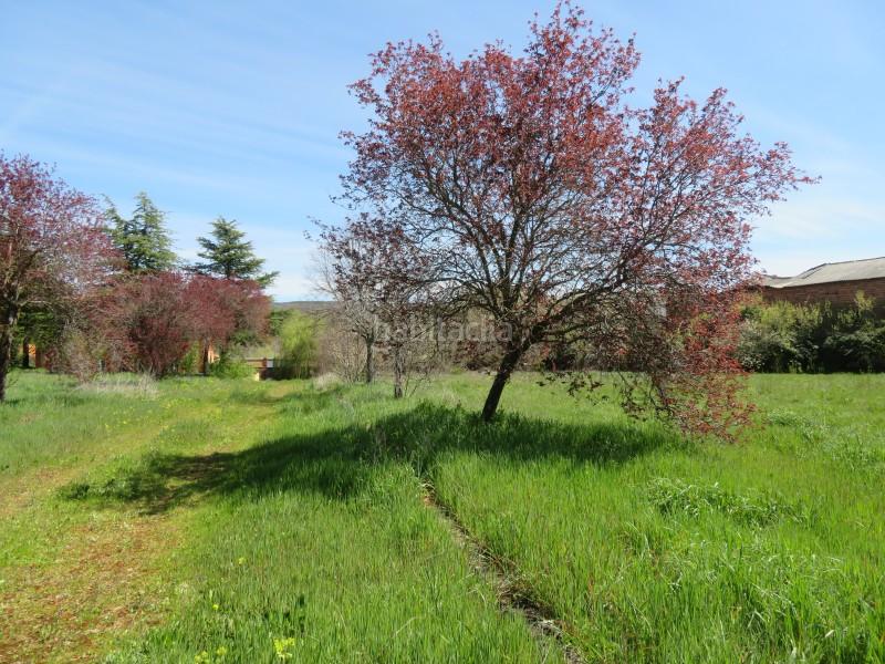 Foto 2b55d1a2-baac-4d1c-a234-8d1494a0a9ef. Chalet casa unifamiliar en venta en campo y santibáñez león en Cuadros