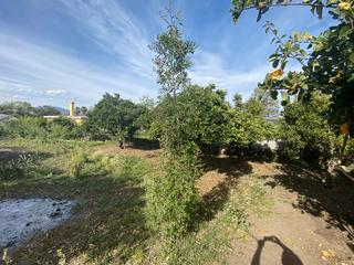 Rural plot in Diseminado poligono 25 31