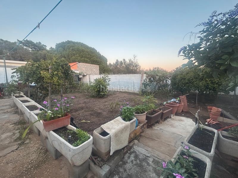 Foto 8ec114ce-812a-413c-a987-ab372b2a3923. Chalet in calle madroño 13 in El Rosario - Ricmar Marbella