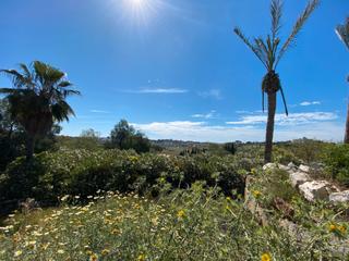 Terreny residencial a Urbanizacion el paraiso 256. Parcela el paraiso 1250 m2, llana con vistas al mar, golf y mont