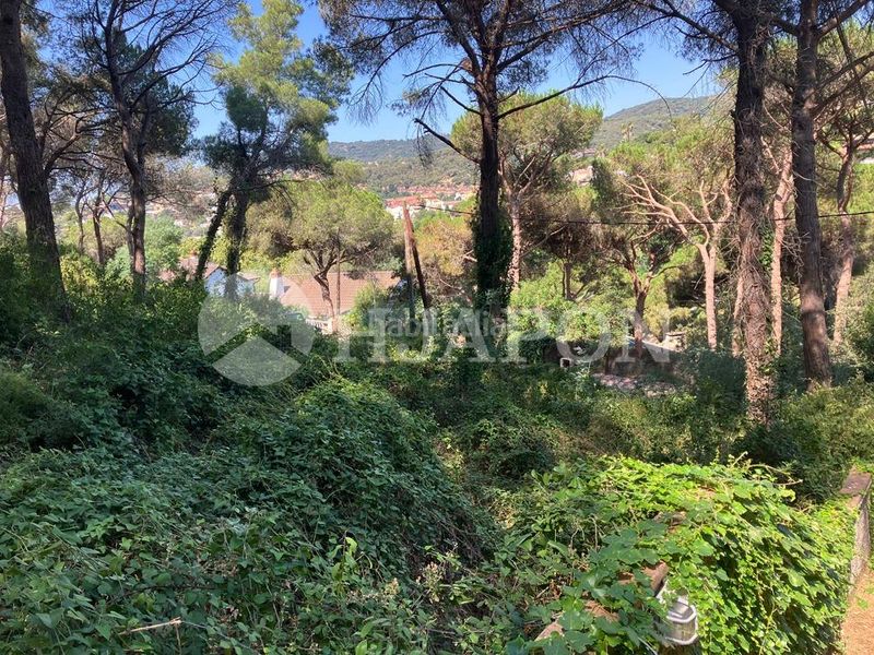 Foto 2a6e2dff-6dd2-45f0-adce-1e7d0b69db02. Terreny residencial a Cabrils