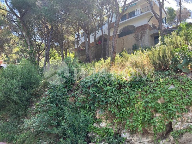 Foto 39cbfdde-fafb-4650-aff8-ad692cf714f0. Terreny residencial a Cabrils