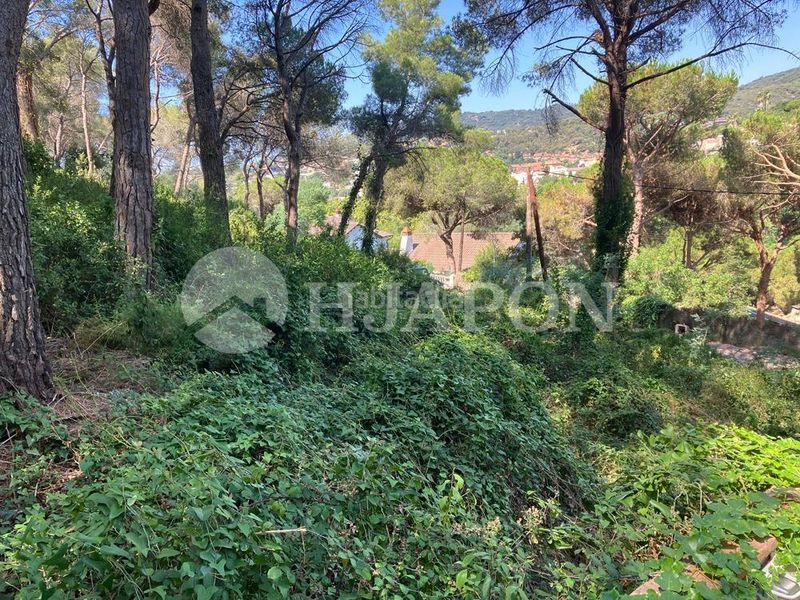 Foto 4e7441aa-4254-49f4-93b7-53ff99ae4543. Terreny residencial a Cabrils