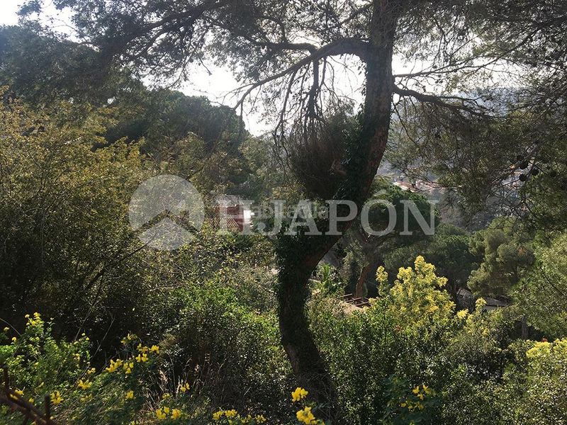 Foto 15f42ac0-d09f-4569-81b0-04ca742dd1c5. Terreny residencial a Cabrils
