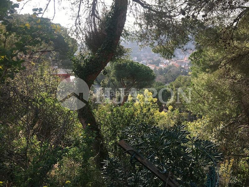 Foto 2d65d0d8-fd1b-44e8-909c-ac76ac2eabfd. Terreny residencial a Cabrils