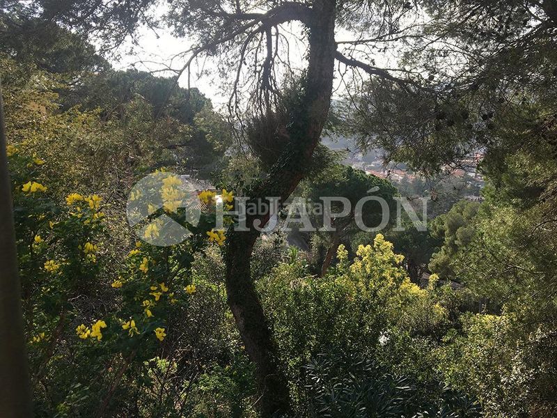 Foto ad83b898-90ca-42b6-82c3-f6833ecdc844. Terreny residencial a Cabrils