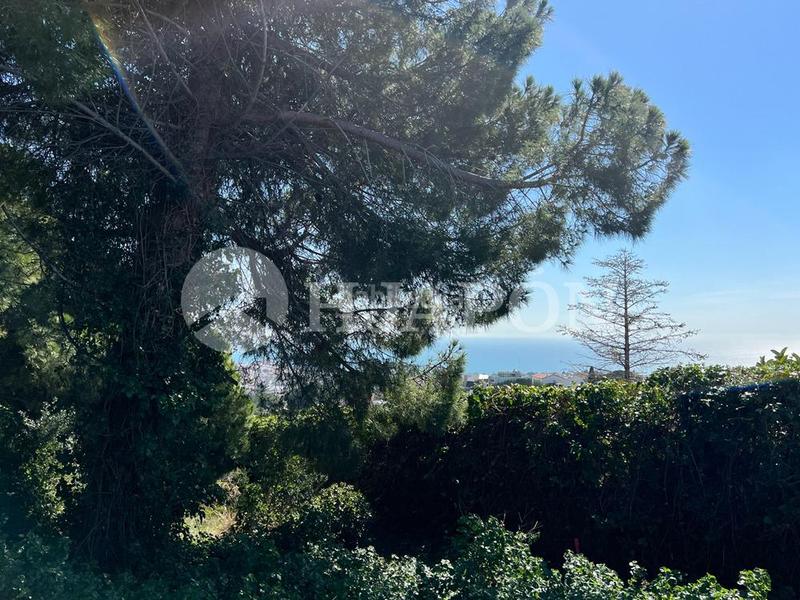 Foto a230d06e-43f1-4471-a283-b8b3488ba033. Terreno residenziale in Alella