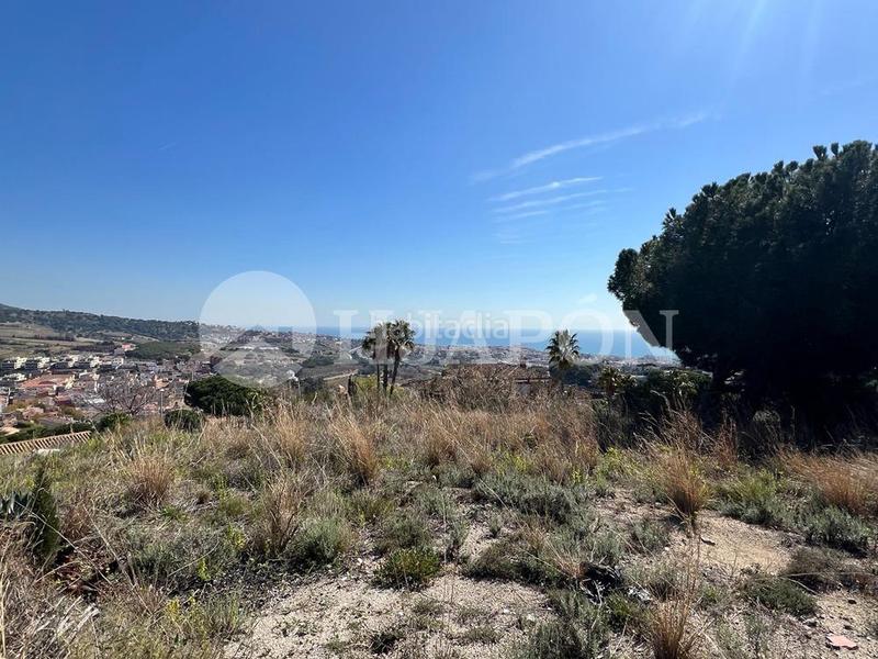 Foto ec5d4bfe-caaf-476d-a604-f5ae523f4113. Terreno residenziale in Alella