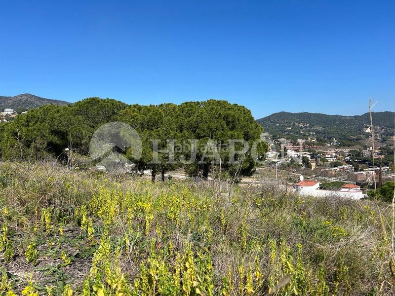 Foto febd98b5-269a-4c06-a35b-1ae8ec67f268. Terreno residenziale in Alella