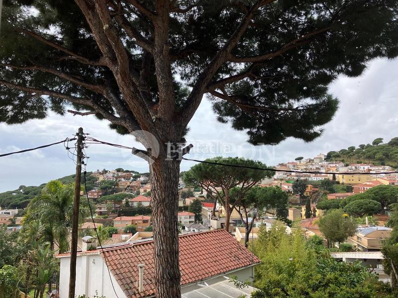 Foto 81d04e85-5e2b-4d4a-bbff-c9eff650237a. Casa  con piscina en premia de dalt. en Premià de Dalt