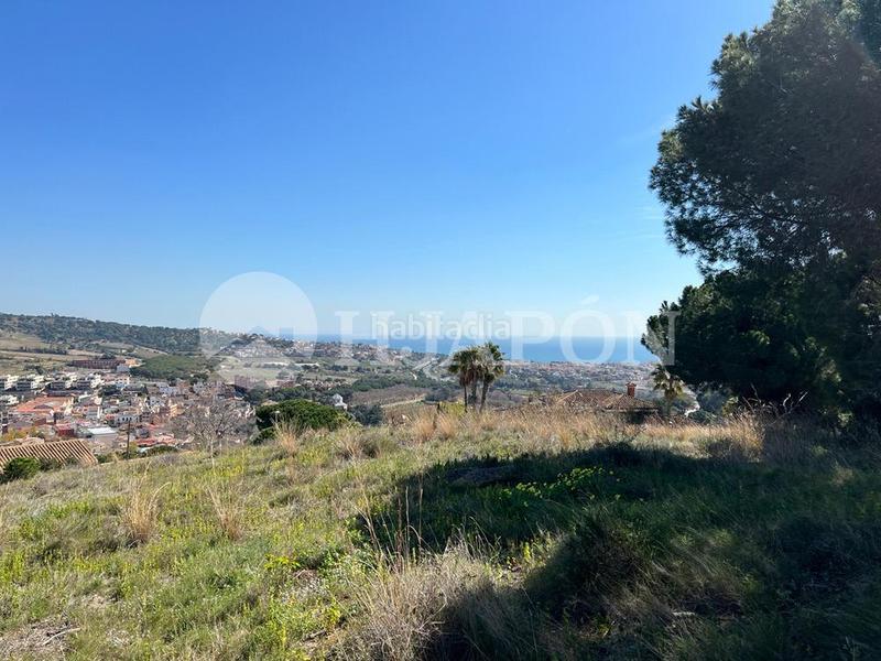 Foto 6a899465-3866-4186-a2d1-596dd9c778ec. Terreno residenziale in Alella