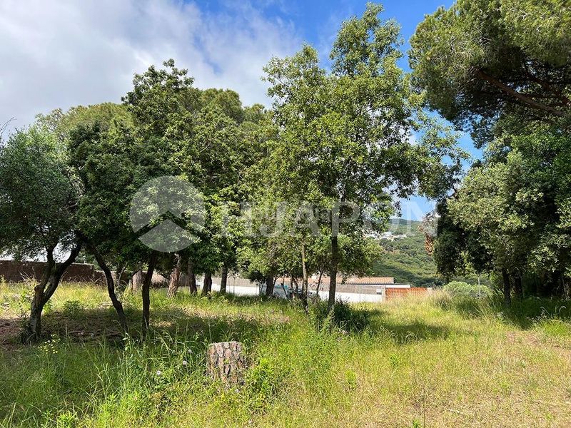 Foto 74601149-20ae-4eec-90e8-8c8e00bbbb03. Terreny residencial a El Mirador-La Cornisa Sant Andreu de Llavaneres