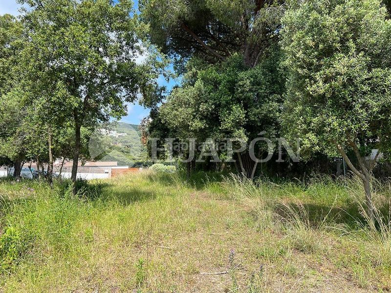 Foto c39478ce-6071-46ab-9165-d9fe3c6bfe1b. Terreny residencial a El Mirador-La Cornisa Sant Andreu de Llavaneres