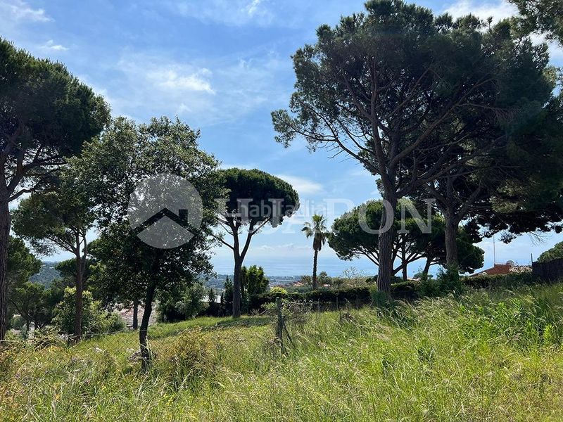 Foto e3eef142-5c5d-47dd-b1bd-311ce8bae0b1. Terreny residencial a El Mirador-La Cornisa Sant Andreu de Llavaneres