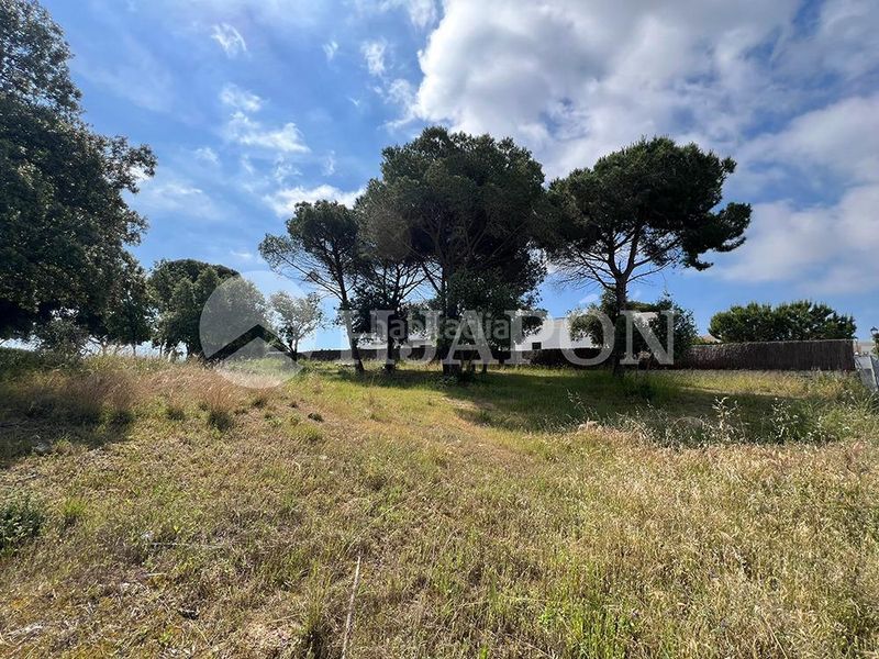 Foto eaa6d5f8-2339-4e75-9724-58e286df35f5. Terreny residencial a El Mirador-La Cornisa Sant Andreu de Llavaneres