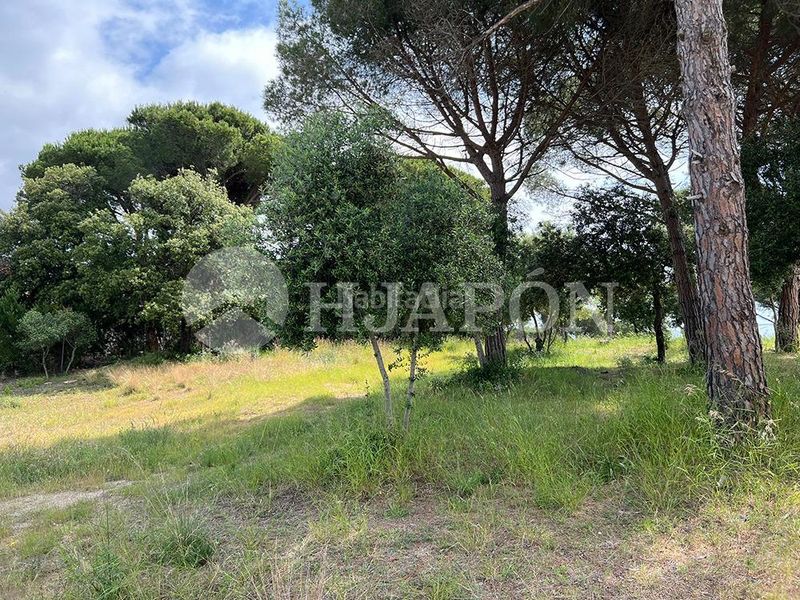 Foto f7dd2e46-265b-4103-890c-fd2c87f4e1a1. Terreny residencial a El Mirador-La Cornisa Sant Andreu de Llavaneres