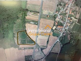 Finca rústica a Santurde de Rioja. Finca rústica con vallado perimetral plantada de arboles