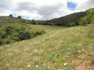 Finca rústica a Ezcaray. Terreno a la venta