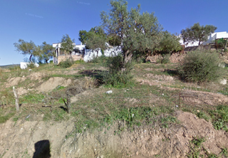 Area edificabile industriale  Doctor perez fabra. Finca en algar
