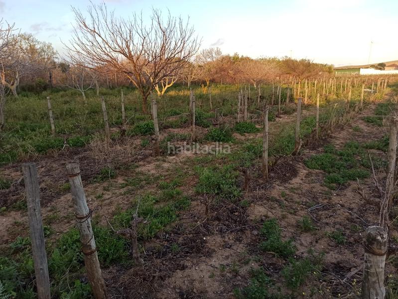 Foto 2de6708a-f131-415c-8f4d-37ff4e8b1adb. Propriété dans Villanueva Golf Puerto Real