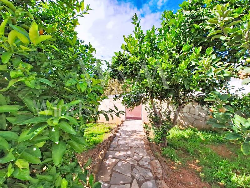 Foto a5a848bd-7161-4770-a271-7f6b9a56132d. Casa con parcheggio piscina in Santa Eulària des riu Santa Eulària