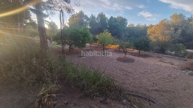 Foto d65395fa-f755-495b-9b61-a179379b64cf. Casale in n/a in Algar de Palància