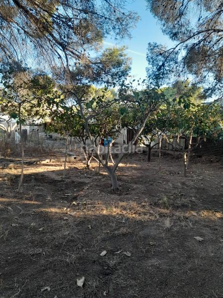 Foto 5be9cf8c-1aad-4586-8334-d4006c4286dc. Masía casa independiente con piscina o en Doctor Palos - Alto Palancia Sagunt